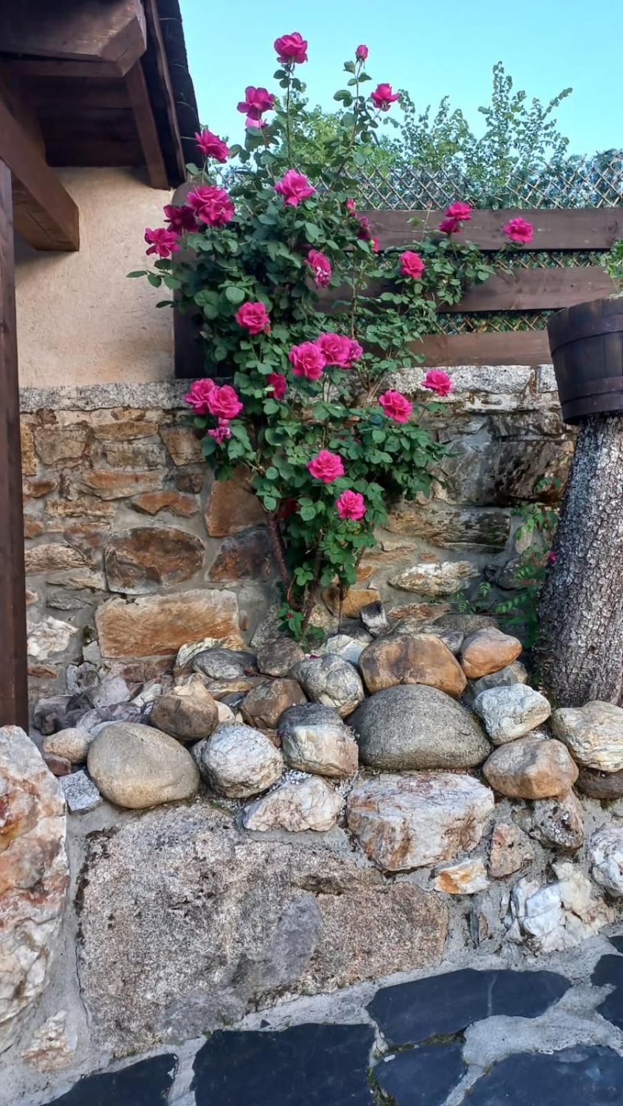 Casa Del Cura Guest House Rozas Luaran gambar